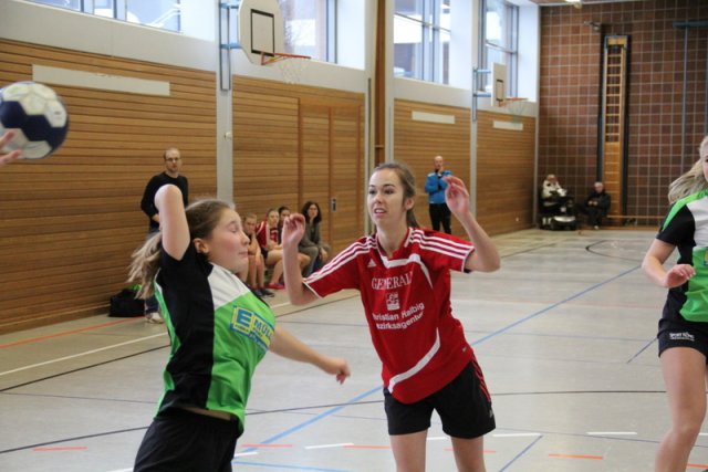2017_01_08 Landesliga Frauen u. J19